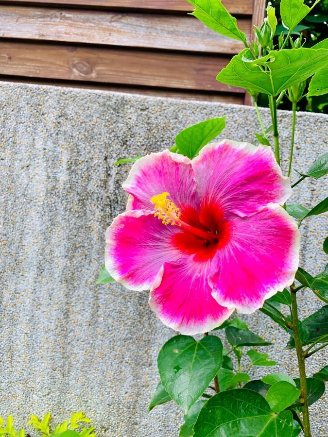 Jifun Flower Meanings Ji'an Εξωτερικό φωτογραφία