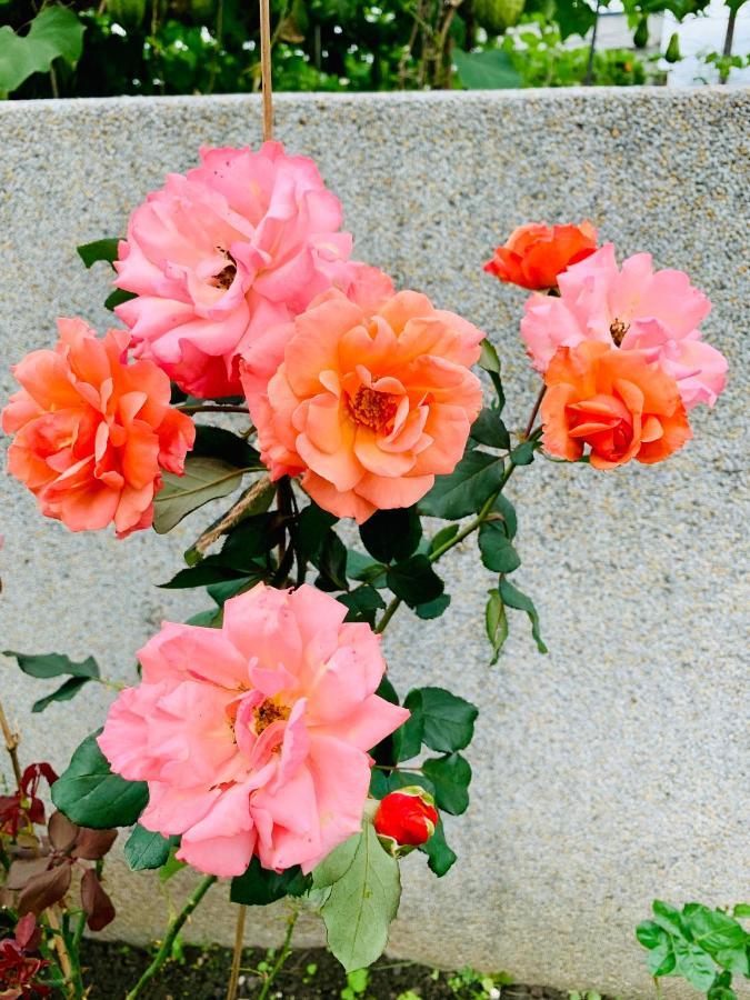 Jifun Flower Meanings Ji'an Εξωτερικό φωτογραφία